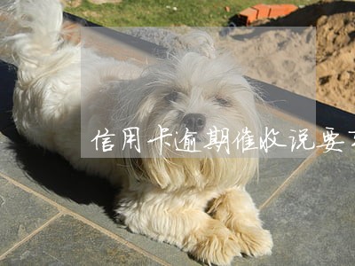 信用卡逾期催收说要车要房 信用卡逾期催收说要车要房