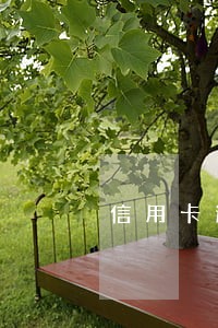 信用卡逾期催收说要集体诉讼 信用卡逾期催收说要集体诉讼