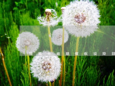 信用卡逾期催收说降额 信用卡逾期催收说降额