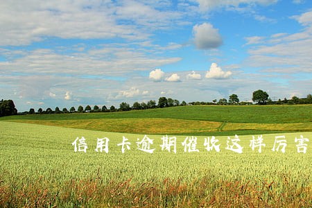 信用卡逾期催收这样厉害