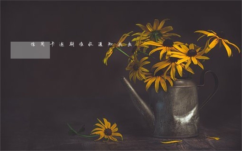 信用卡逾期催收通知我去