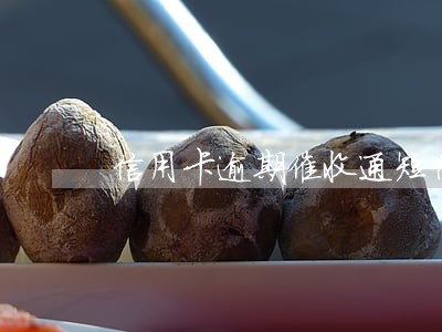 信用卡逾期催收通短信 信用卡逾期催收通短信