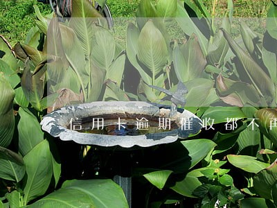信用卡逾期催收都不再打电话 信用卡逾期催收都不再打电话