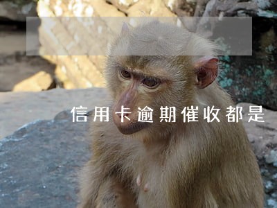 信用卡逾期催收都是