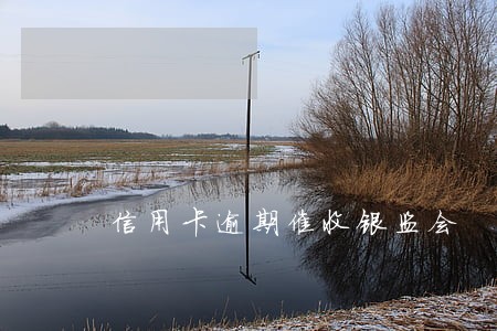 信用卡逾期催收银监会 信用卡逾期催收银监会