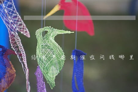 信用卡逾期催收问钱哪里去了 信用卡逾期催收问钱哪里去了