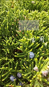 信用卡逾期催收骚扰家人怎么办 信用卡逾期催收骚扰家人怎么办