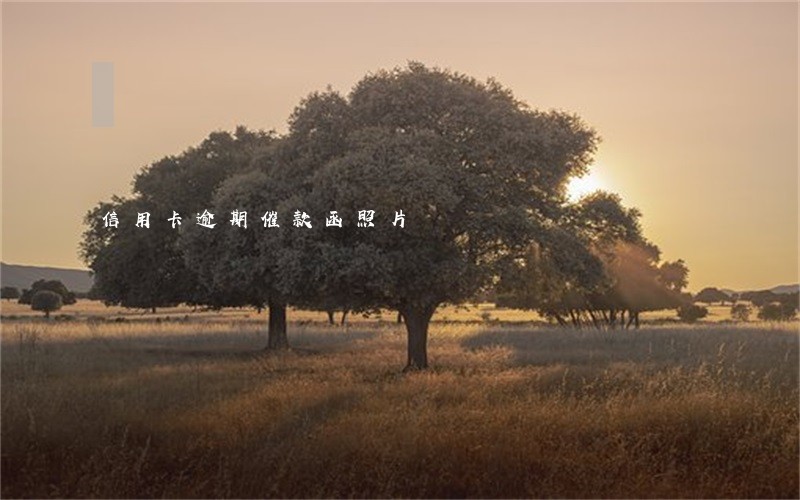 信用卡逾期催款函照片 信用卡逾期催款函照片