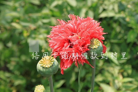 信用卡逾期催款到村里