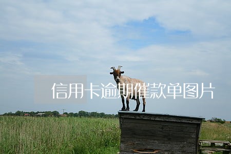 信用卡逾期催款单图片 信用卡逾期催款单图片