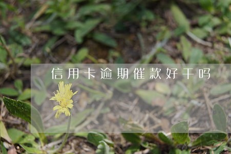 信用卡逾期催款好干吗 信用卡逾期催款好干吗