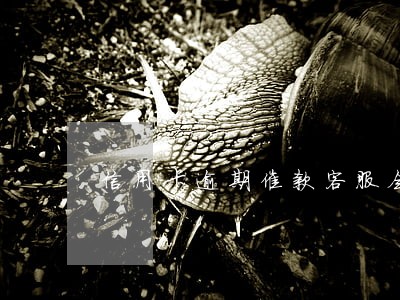 信用卡逾期催款客服会经常加班吗 信用卡逾期催款客服会经常加班吗