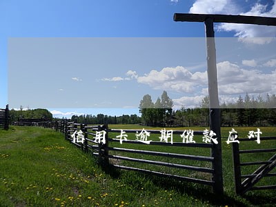 信用卡逾期催款应对 信用卡逾期催款应对