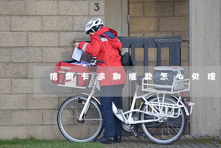 信用卡逾期催款怎么处理 信用卡逾期催款怎么处理
