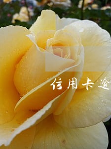 信用卡逾期催款手机号 信用卡逾期催款手机号