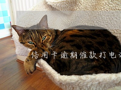 信用卡逾期催款打电话不接可以吗 信用卡逾期催款打电话不接可以吗