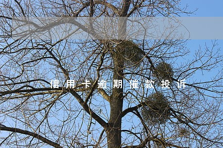 信用卡逾期催款投诉
