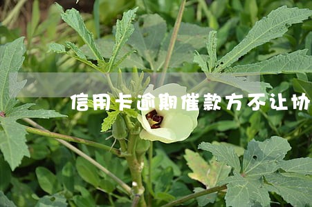 信用卡逾期催款方不让协商