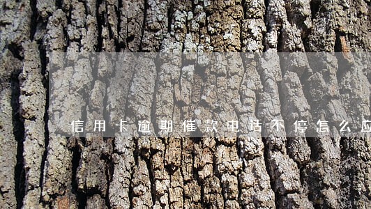 信用卡逾期催款电话不停怎么应对 信用卡逾期催款电话不停怎么应对