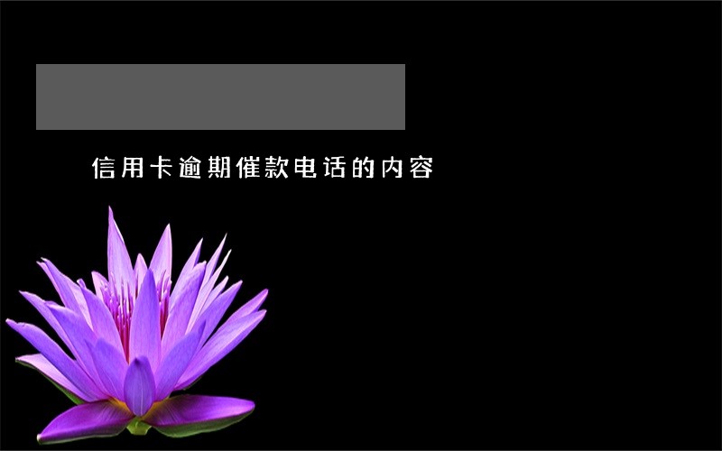 信用卡逾期催款电话的内容 信用卡逾期催款电话的内容