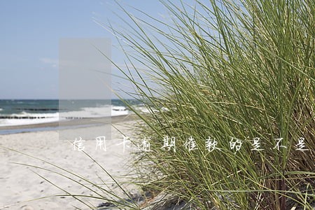 信用卡逾期催款的是不是机器人啊 信用卡逾期催款的是不是机器人啊