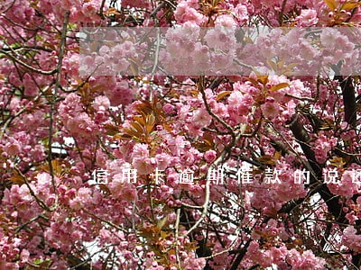 信用卡逾期催款的说还完还能用