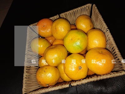 信用卡逾期催款短信模板 信用卡逾期催款短信模板