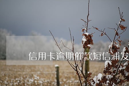 信用卡逾期催款短信浦发
