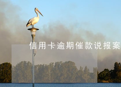 信用卡逾期催款说报案要坐牢 信用卡逾期催款说报案要坐牢