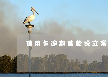 信用卡逾期催款说立案 信用卡逾期催款说立案