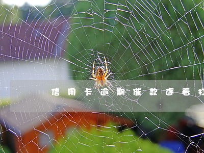 信用卡逾期催款连着打电话 信用卡逾期催款连着打电话