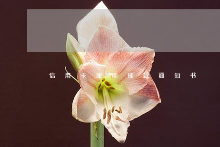 信用卡逾期催款通知书 信用卡逾期催款通知书
