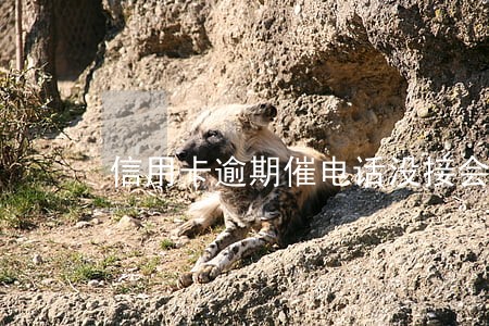 信用卡逾期催电话没接会怎样 信用卡逾期催电话没接会怎样
