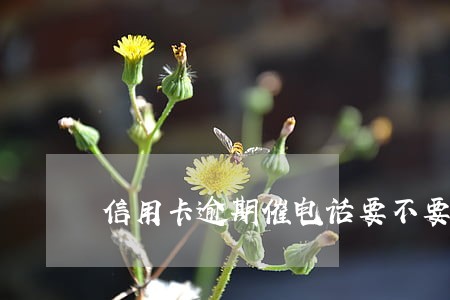 信用卡逾期催电话要不要接 信用卡逾期催电话要不要接