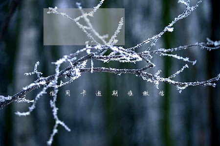 信用卡逾期催缴信