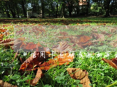 信用卡逾期催缴函寄到家里怎么办