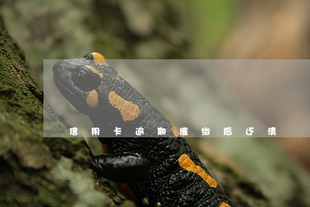 信用卡逾期催缴后还清 信用卡逾期催缴后还清