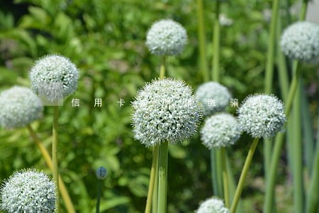 信用卡逾期催缴骗局