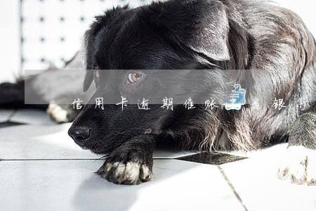 信用卡逾期催账不是银行电话 信用卡逾期催账不是银行电话