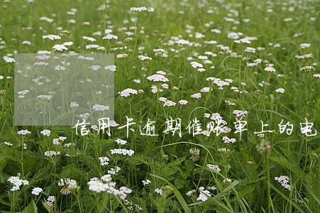 信用卡逾期催账单上的电话 信用卡逾期催账单上的电话