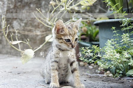信用卡逾期催账说流转是什么意思