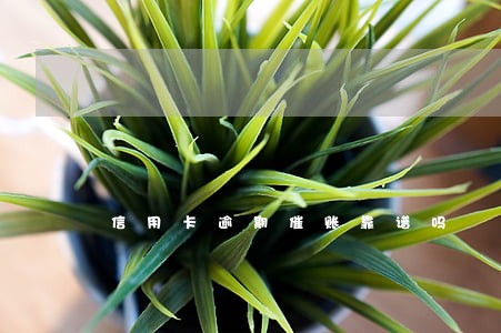 信用卡逾期催账靠谱吗 信用卡逾期催账靠谱吗