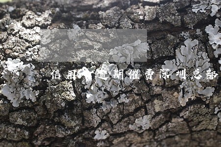 信用卡逾期催费深圳总部