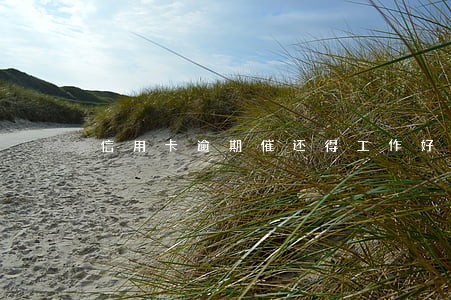 信用卡逾期催还得工作好做么