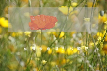 信用卡逾期先后顺序 信用卡逾期先后顺序