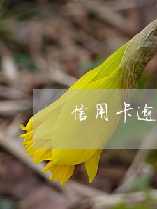 信用卡逾期先处理一部分再分期 信用卡逾期先处理一部分再分期