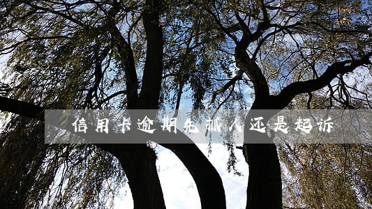信用卡逾期先抓人还是起诉 信用卡逾期先抓人还是起诉