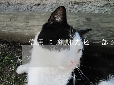 信用卡逾期先还一部分吗