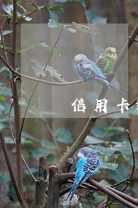 信用卡逾期先还小额的还是