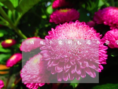 信用卡逾期先还本金可以吗 信用卡逾期先还本金可以吗